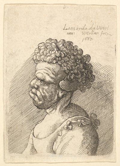 Soldaki profilde kıvırcık saçlı, deforme olmuş bir kadının büstü, 1665. by Wenceslaus Hollar