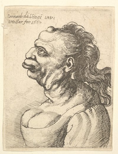 Dekolteli elbise giyen, dudak çıkıntılı, alnında büyüme, söz..., 1660. by Wenceslaus Hollar