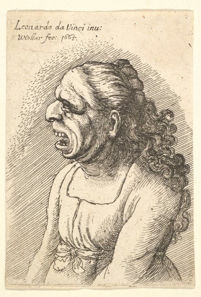 Geniş açık ağızlı ve uzun kıvırcık saçlı, omuzlarına düşen kadın büstü,..., 1665. by Wenceslaus Hollar