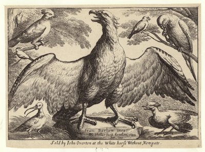 Kartal ve diğer kuşlar by Wenceslaus Hollar