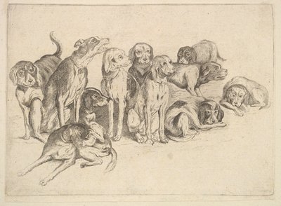On Bir Tazı, 1625-77. by Wenceslaus Hollar
