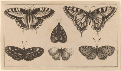 Beş Kelebek ve Bir Güve by Wenceslaus Hollar