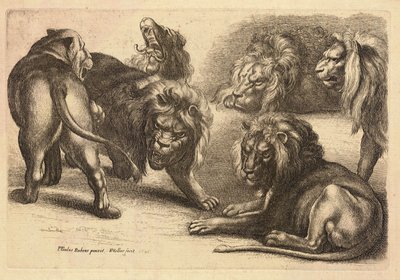 Rubens