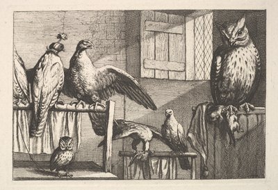 Şahinler ve baykuşlar, 1625-77. by Wenceslaus Hollar