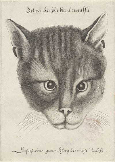 Bir Kedi Başkanı by Wenceslaus Hollar