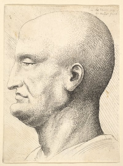 Soldan profilde kel bir adamın başı, 1644-52. by Wenceslaus Hollar