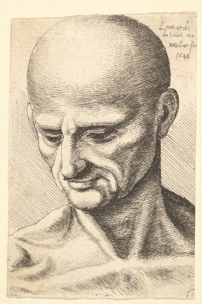 Aşağıya bakan kel, kaslı bir adamın başı, 1648. by Wenceslaus Hollar