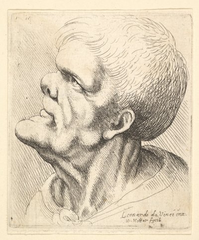 Çıkıntılı çeneli ve kalkık burunlu bir adamın başı, profilden sola doğru yukarı bakıyor, 1625-77. by Wenceslaus Hollar