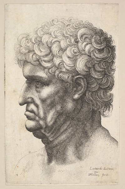Soldaki profilde kalın kıvırcık saçlı bir adamın başı, 1640-49. by Wenceslaus Hollar