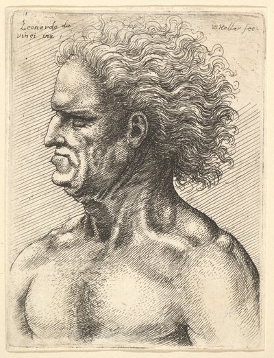 Profildeki kaslı yaşlı bir adamın başı, soldan dalgalı saçlarla, 1625-77. by Wenceslaus Hollar