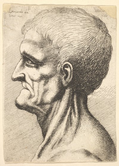 Profilden sola doğru çıplak, kaslı boynu olan dişsiz bir adamın başı, 1648. by Wenceslaus Hollar