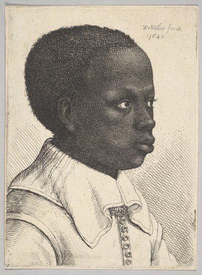 Sağdaki profilde genç bir siyah çocuğun başı, 1645. by Wenceslaus Hollar