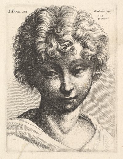 Genç bir kızın başı, 1645. by Wenceslaus Hollar