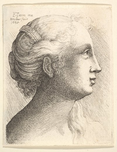 Sağdaki profilde genç bir kadının başı, 1645. by Wenceslaus Hollar