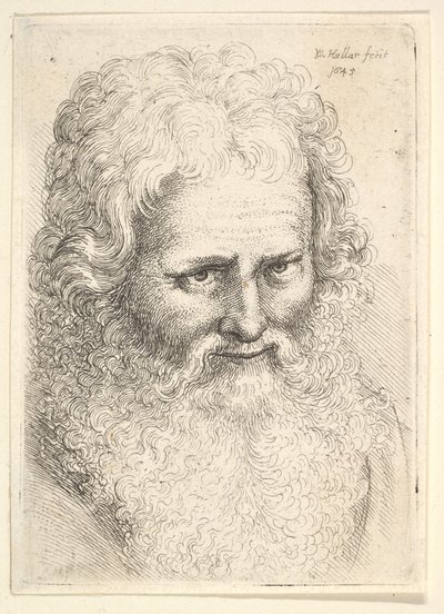 Büyük sakallı yaşlı bir adamın başı, 1645. by Wenceslaus Hollar