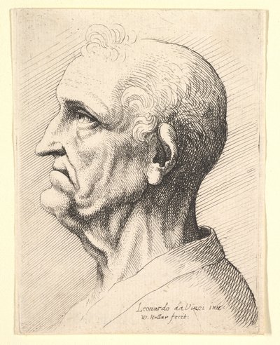 Soldan profilde kulak çevresinde kıvırcık saç tutamları olan yaşlı bir adamın başı, 1644-52. by Wenceslaus Hollar