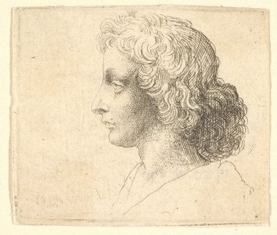 Soldaki profilde uzun saçlı genç adamın başı, 1644-52. by Wenceslaus Hollar