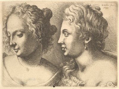 İki genç kadının başları, 1645. by Wenceslaus Hollar