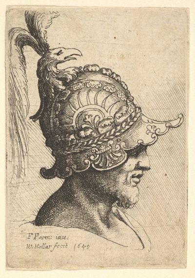 Kuş Kafası Armalı Miğferli Kafa, 1645. by Wenceslaus Hollar