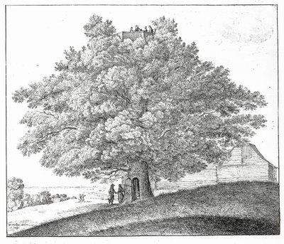 Hampstead
