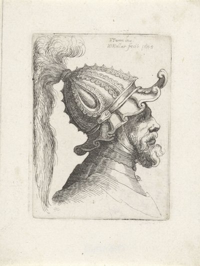 Tüylü miğferli bir adamın başı Parmigianino