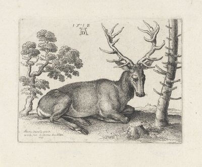 Sağa yaslanmış geyik by Wenceslaus Hollar