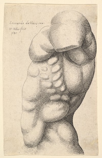 Soldan profilde boyundan kalçaya erkek gövdesi, 1645. by Wenceslaus Hollar