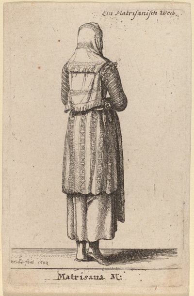 matrisler by Wenceslaus Hollar