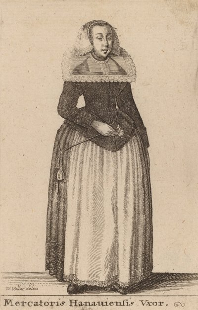 Tüccar Hanauiensis