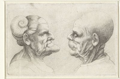 Kel bir adamın ve kafasında boynuzları olan kadının deforme olmuş kafaları Varie figurae et probae (seri başlığı) Leonardo da Vinci