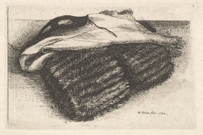 Muff, beyaz fular ve maske, 1642. by Wenceslaus Hollar