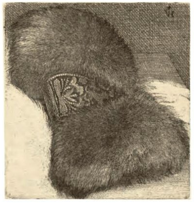 Brocade bantlı manşon by Wenceslaus Hollar