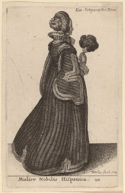 İspanyol kaplanı kadın by Wenceslaus Hollar