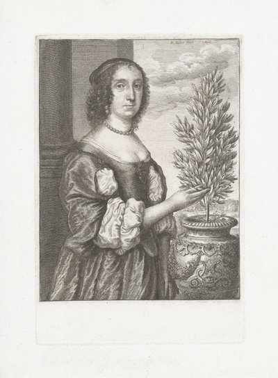 Bir defne bitkisinin yanında duran bir kadının portresi by Wenceslaus Hollar