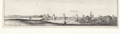 Strazburg manzaralı nehir manzarası Almanya ve Alçak Ülkelerde Nehir Manzaraları (dizi başlığı) by Wenceslaus Hollar