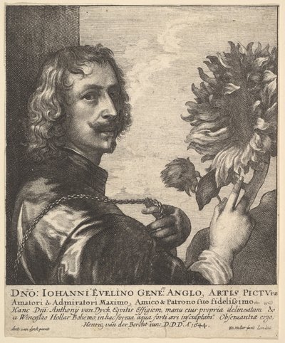 Sir Anthony van Dyck, bir ayçiçeği ile, 1644. by Wenceslaus Hollar