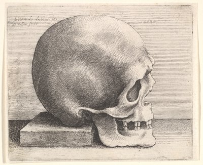 Sağdaki profilde kafatası, 1645. by Wenceslaus Hollar