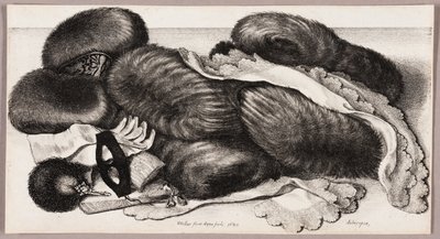 Bir Grup Manşon, Bir Çift Eldiven ve İki Fular ile Natürmort by Wenceslaus Hollar