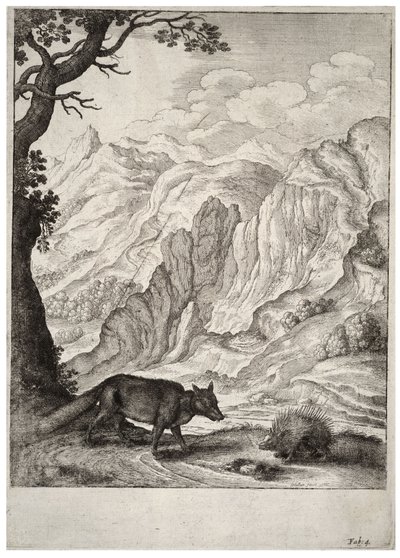 Tilki ve kirpi. durum 2 by Wenceslaus Hollar