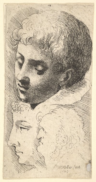 Üç kafa, 1645. by Wenceslaus Hollar