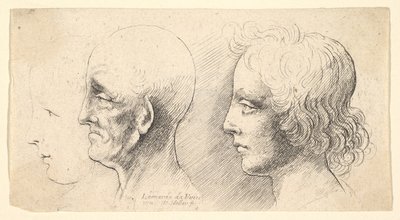 Üç profil kafası, biri yalnızca anahatta, 1625-77. by Wenceslaus Hollar