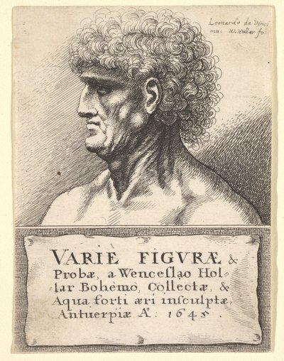 Çeşitli Şekiller ve Problar için başlık sayfası, 1645 by Wenceslaus Hollar