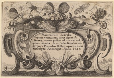 Baş sayfa by Wenceslaus Hollar