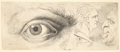 İki göz ve iki kafa, 1644-52. by Wenceslaus Hollar