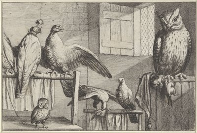 Bir ahırda şahinler ve baykuşlar Diversae avium türleri (seri başlığı) Farklı kuşlar (dizi adı) by Wenceslaus Hollar