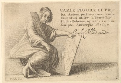 Çeşitli Figürler ve Problar, 1645 by Wenceslaus Hollar