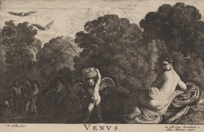 Venüs. by Wenceslaus Hollar