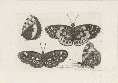 Vier vlinders Böcek (dizi adı) Scarab uçar (dizi başlığı) by Wenceslaus Hollar