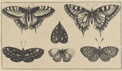 Beş kelebek ve bir güve Çeşitli böcekler (dizi başlığı) Diversae Insectorum (dizi başlığı) by Wenceslaus Hollar