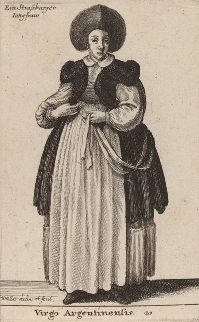 Arjantinli Bakire by Wenceslaus Hollar